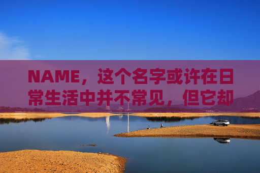 NAME，这个名字或许在日常生活中并不常见，但它却在某些领域里扮演着重要的角色。今天，让我们一起来探索这个名字背后的故事和意义
